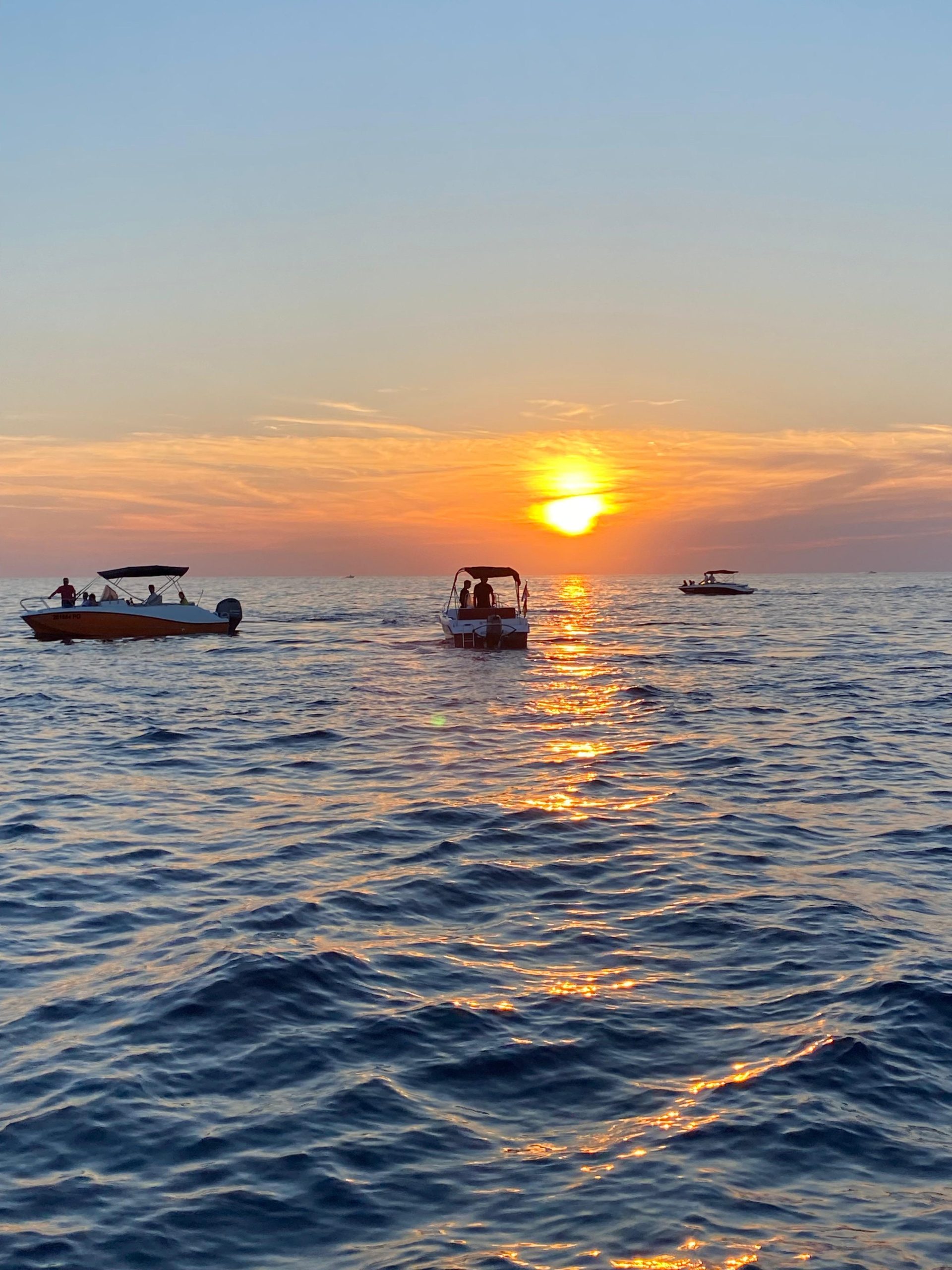 Dolphin Watching Adventure